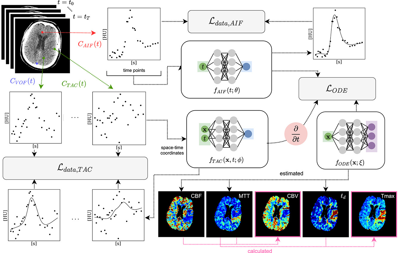 Biomedical AI